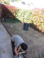 Préparation de jardin